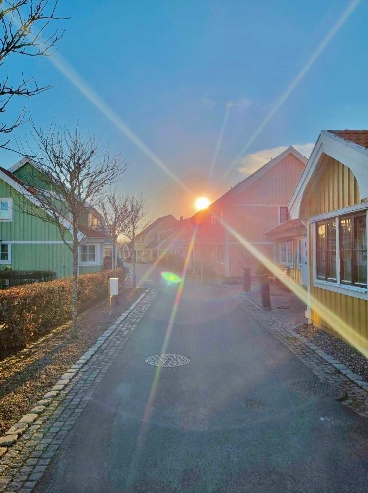 Om föreningen